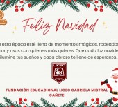 tarjeta navidad lgm 2024